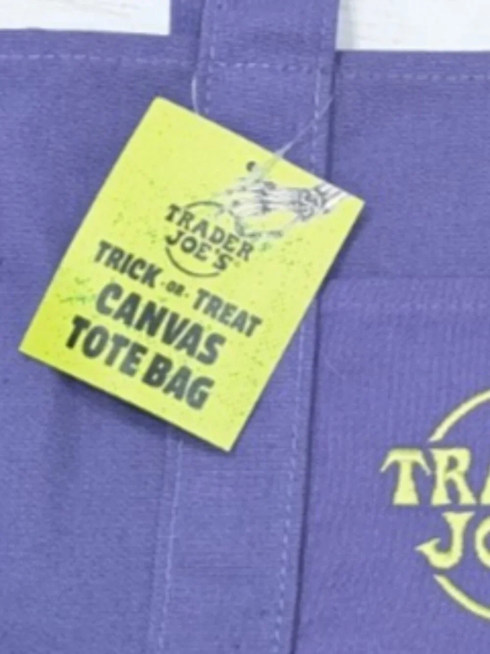 Trader Joe's Purple Canvas Trick or Treat MINI Tote Bag